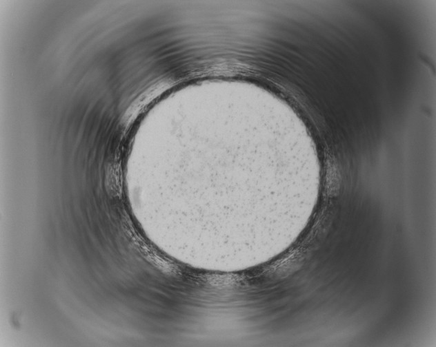 X0000103961018200810311609