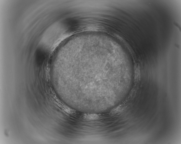 X0000103961019200810311609