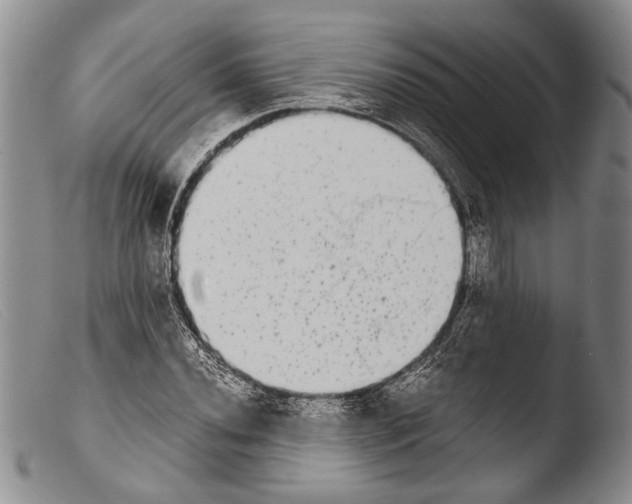X0000103961020200810311609