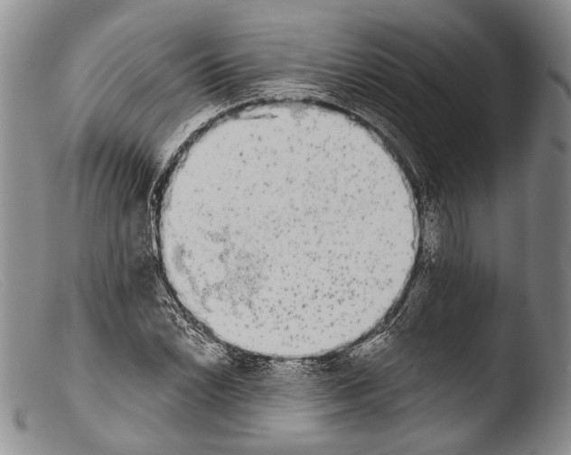 X0000103961022200810311609