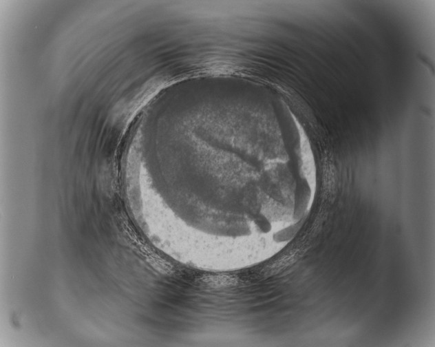 X0000103961023200810311609