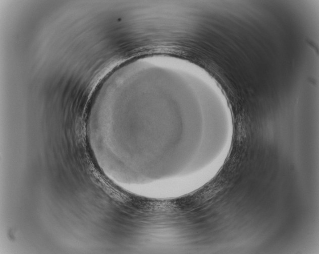 X0000103961024200810311609