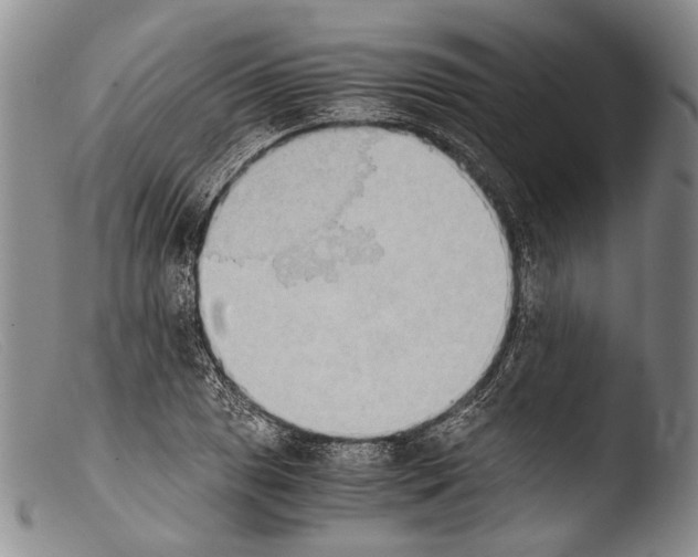 X0000103961025200810311609