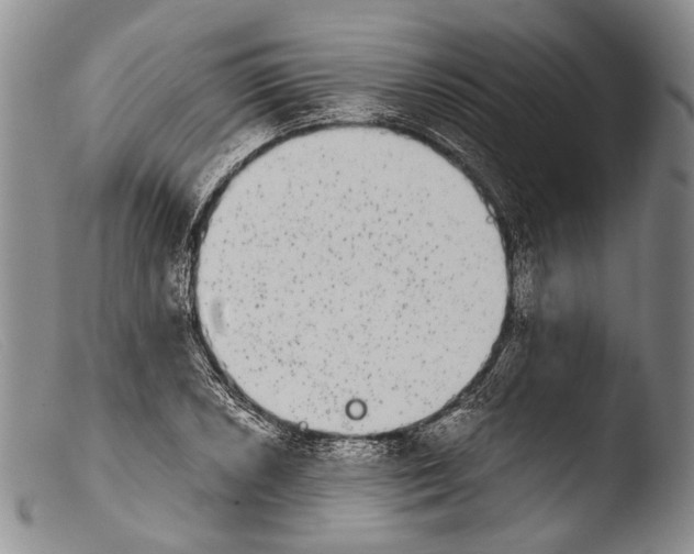 X0000103961026200810311609