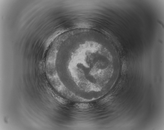 X0000103961027200810311609