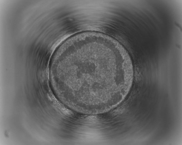 X0000103961028200810311609