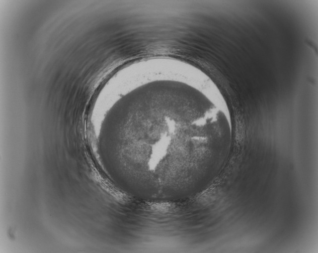 X0000103961031200810311609