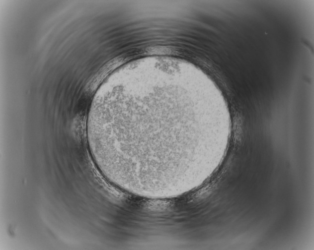 X0000103961033200810311609