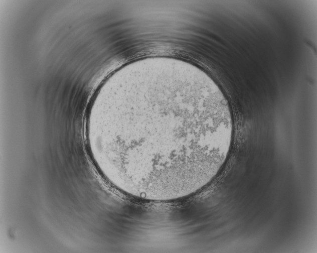 X0000103961034200810311609