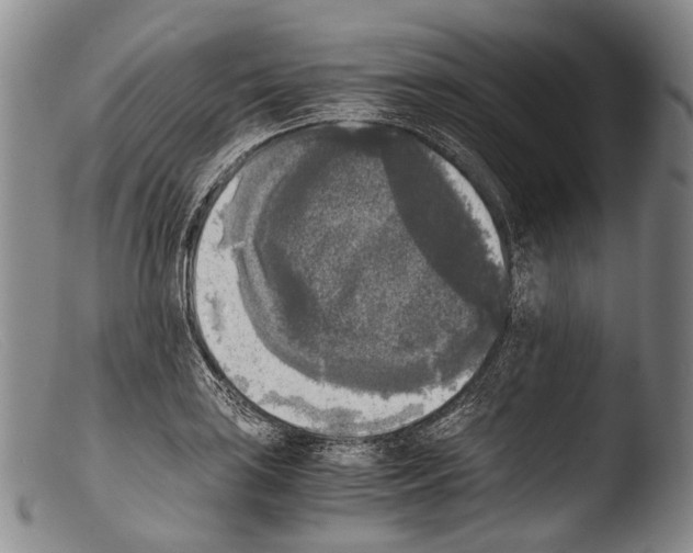 X0000103961035200810311609