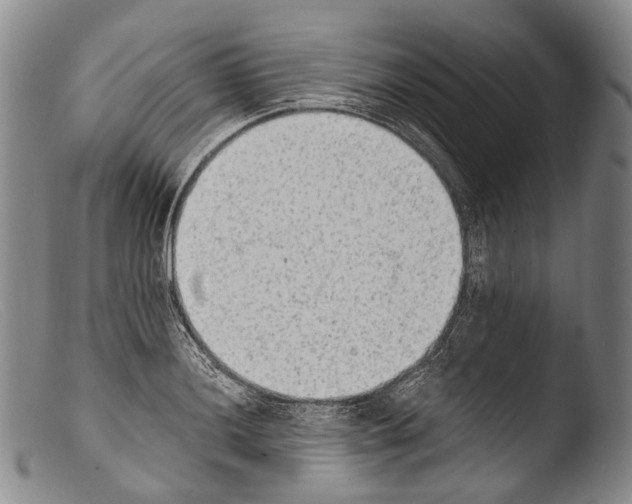 X0000103961036200810311609