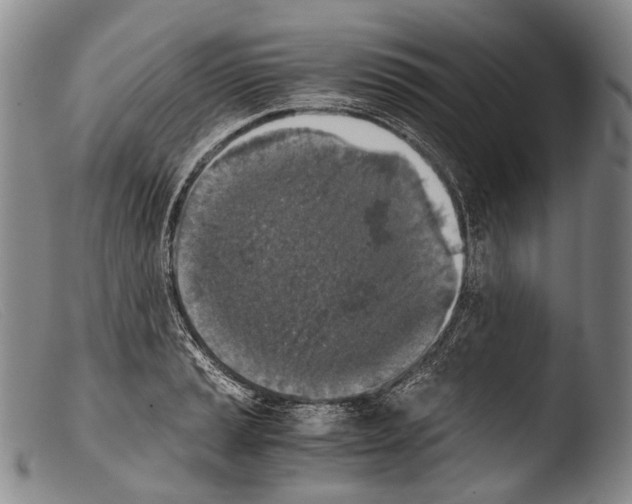 X0000103961037200810311609