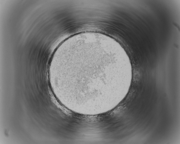 X0000103961038200810311609