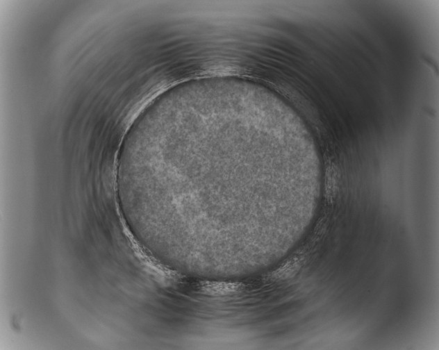 X0000103961039200810311609