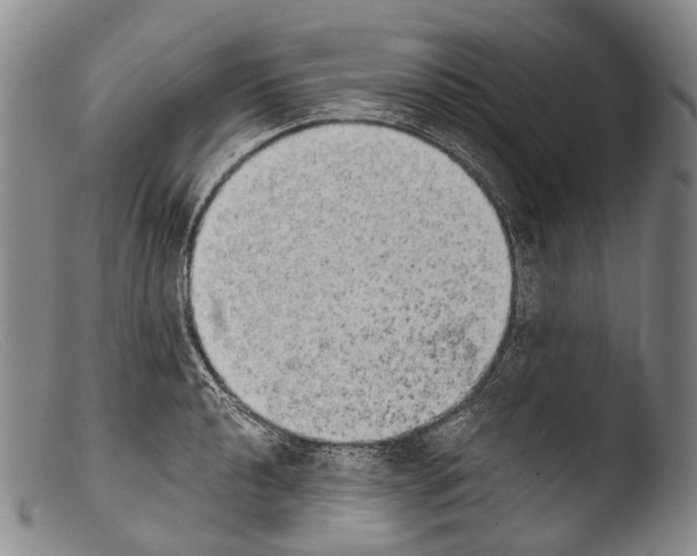 X0000103961040200810311609