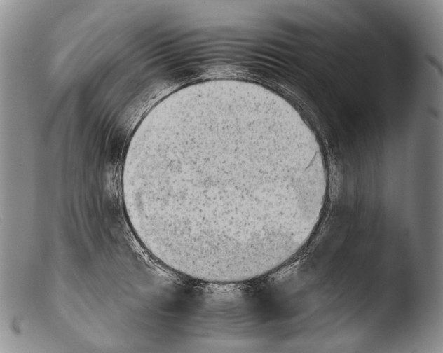X0000103961041200810311609