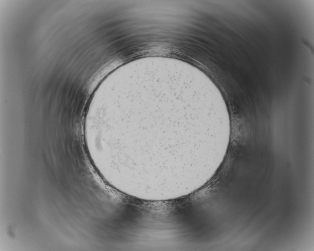 X0000103961042200810311609