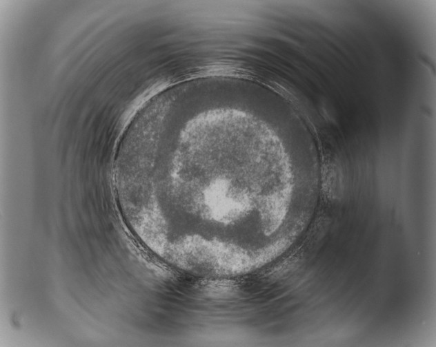 X0000103961043200810311609