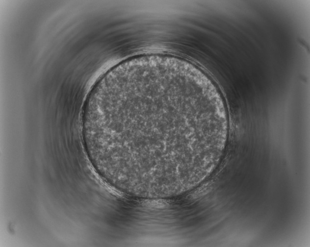 X0000103961045200810311609