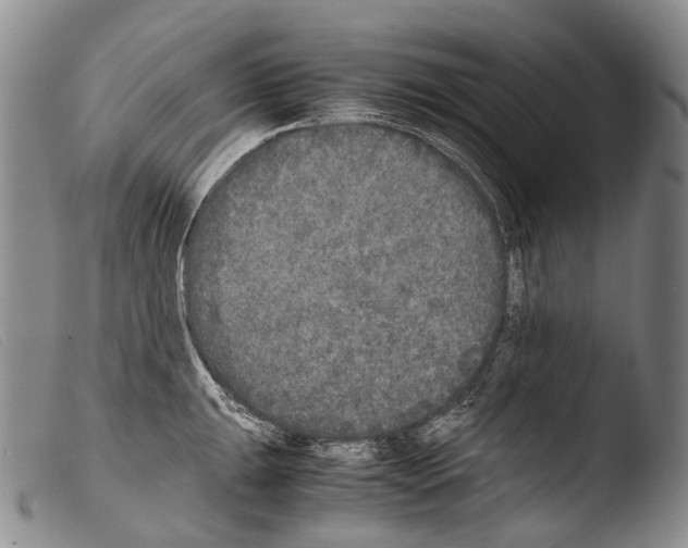 X0000103961047200810311609