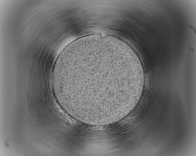 X0000103961048200810311609
