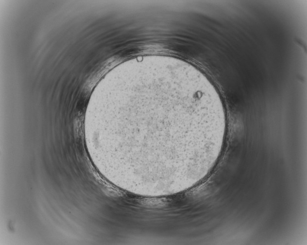 X0000103961049200810311609