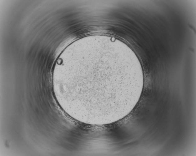 X0000103961050200810311609