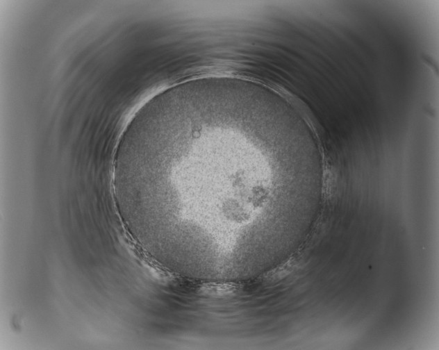 X0000103961051200810311609