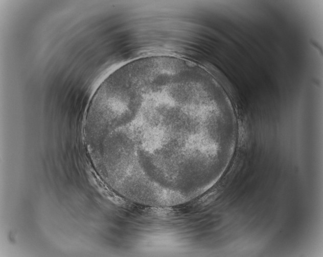 X0000103961052200810311609