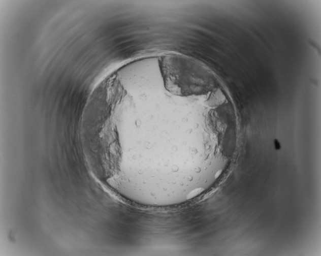 X0000103961053200810311609