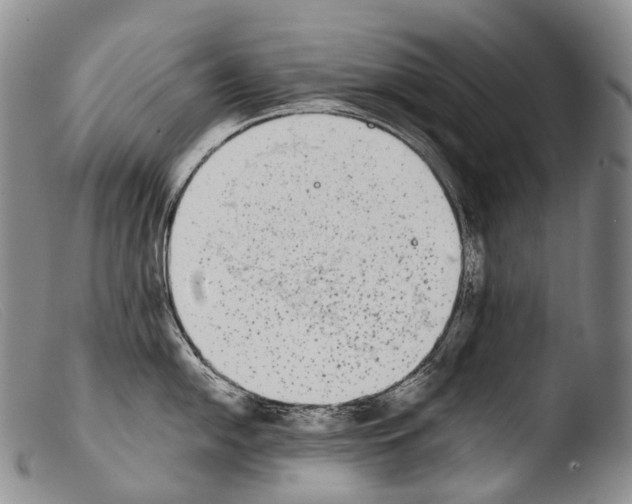 X0000103961054200810311609