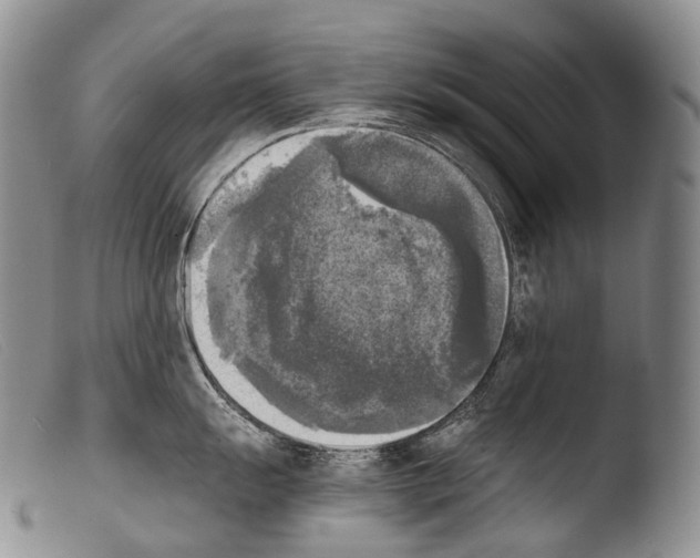 X0000103961055200810311609