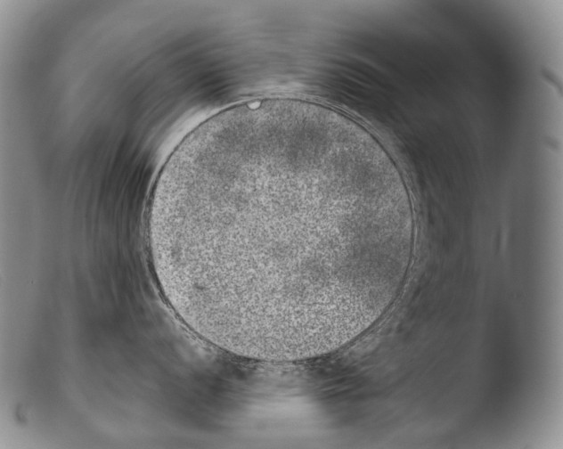 X0000103961056200810311609