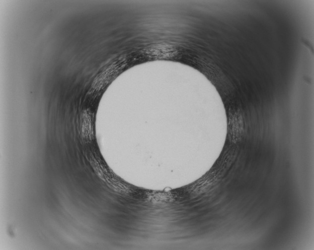 X0000103961058200810311609