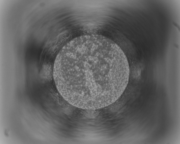 X0000103961060200810311609