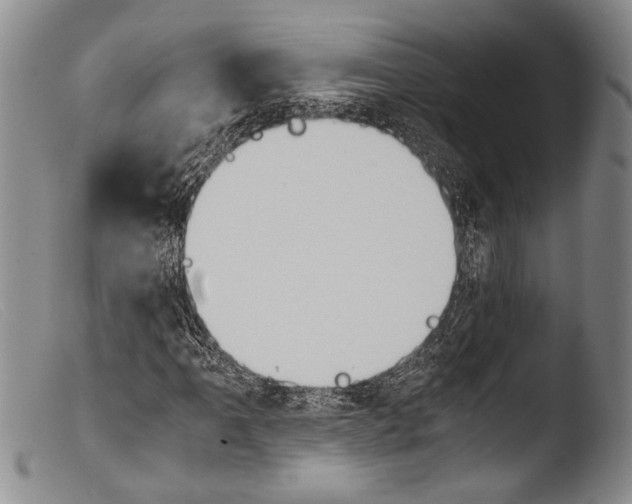 X0000103961061200810311609