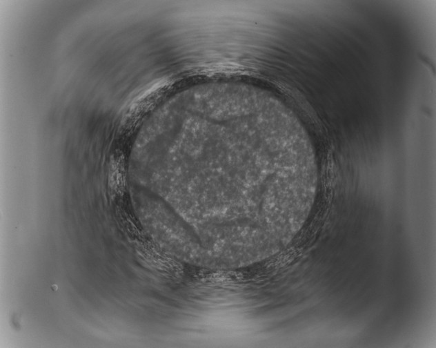 X0000103961063200810311609