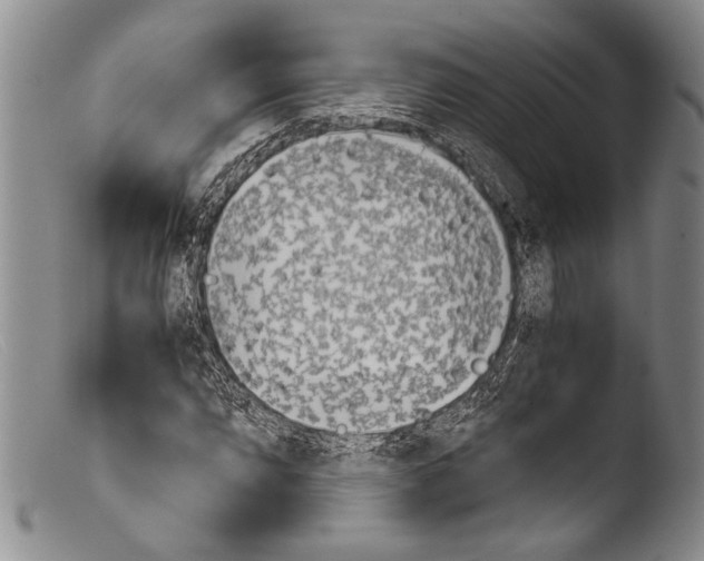X0000103961064200810311609