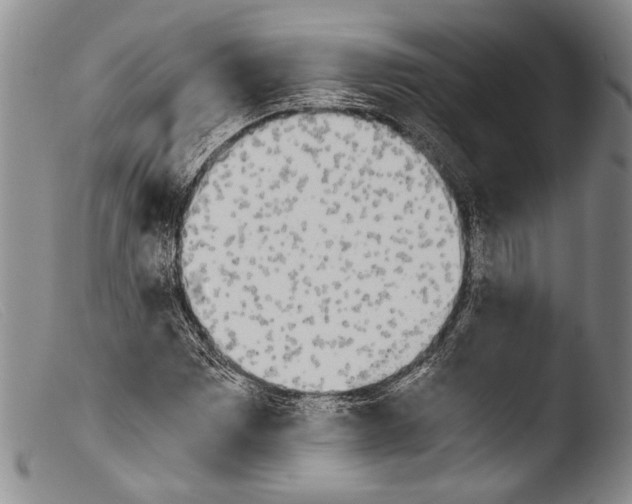 X0000103961065200810311609