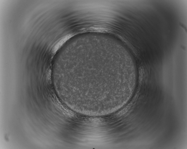 X0000103961066200810311609