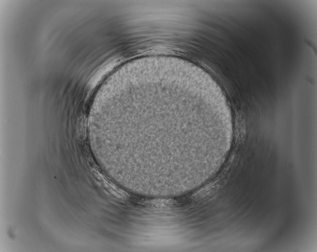 X0000103961067200810311609