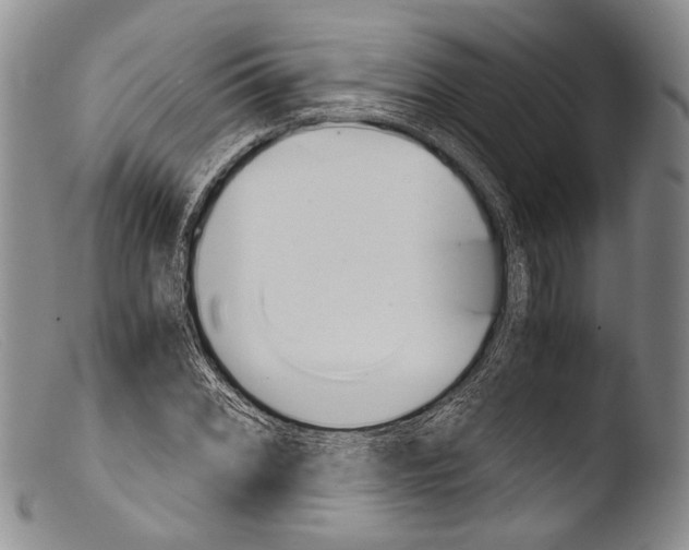 X0000103961068200810311609
