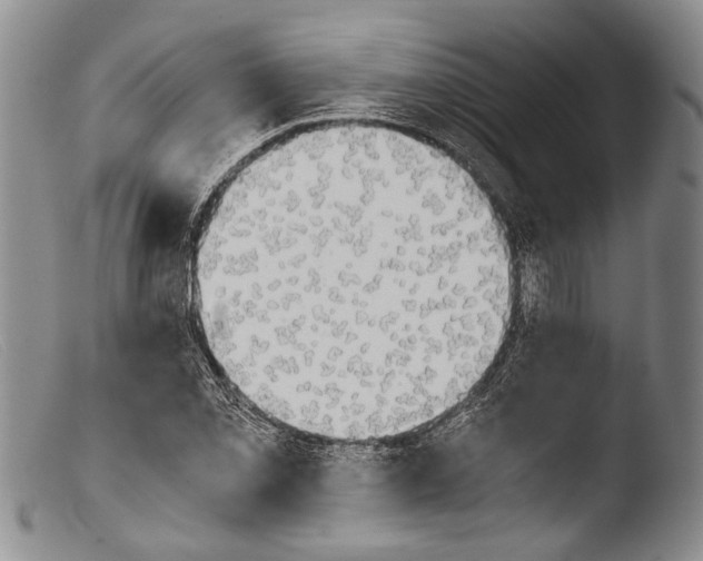 X0000103961069200810311609