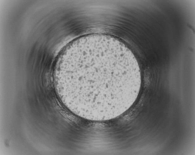 X0000103961070200810311609