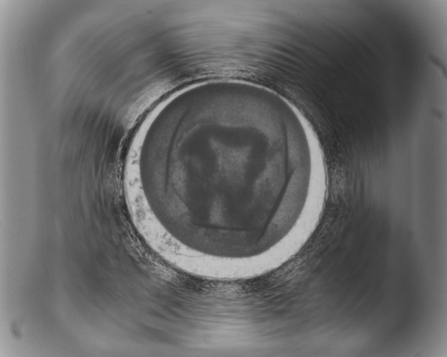 X0000103961071200810311609