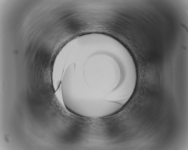 X0000103961072200810311609