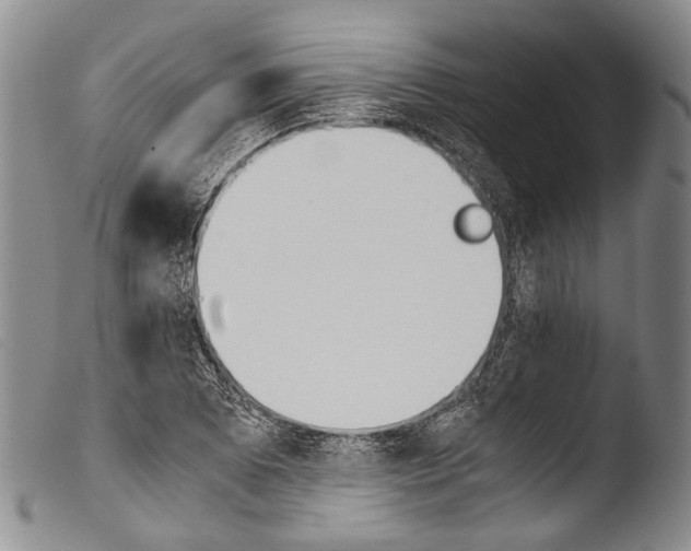 X0000103961073200810311609
