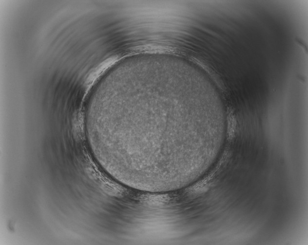 X0000103961074200810311608