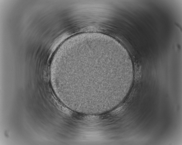 X0000103961075200810311608