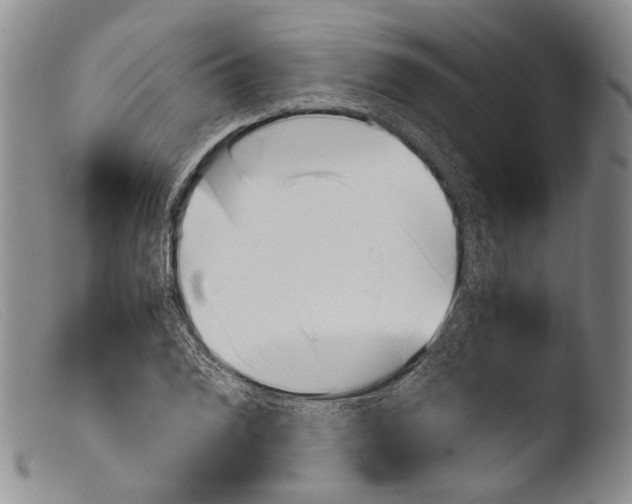 X0000103961076200810311608